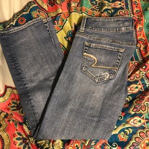 Size 2 Artist American Eagle Capri